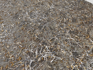 dirty wet ground pbr pack 1 Texturas CG