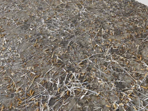 dirty wet ground pbr pack 1 CG Textures