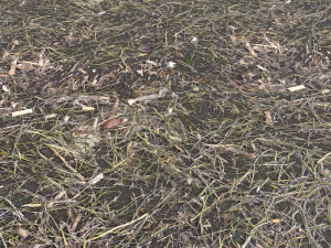 dirty wet ground pbr pack 1 Texturas CG