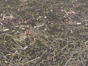 dirty wet ground pbr pack 1 CG Textures