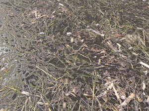 dirty wet ground pbr pack 1 CG Textures