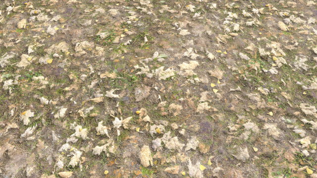leaf terrain pbr pack 1 texture CG Textures .c4d .max .obj .3ds .fbx .stl .blend 