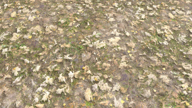 leaf terrain pbr pack 1 texture CG Textures .c4d .max .obj .3ds .fbx .stl .blend