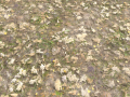 Leaf Terrain PBR Pack 1 Texture 3D Model