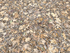 leaf terrain pbr pack 1 texture CG Textures