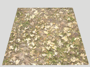 leaf terrain pbr pack 1 texture CG Textures