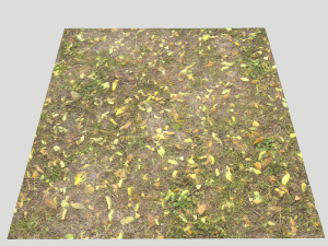 leaf terrain pbr pack 1 texture CG Textures