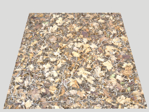 leaf terrain pbr pack 1 texture CG Textures