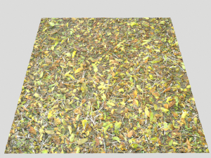 leaf terrain pbr pack 1 texture CG Textures
