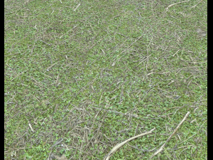 forest ground pack pbr 4 Texturas CG
