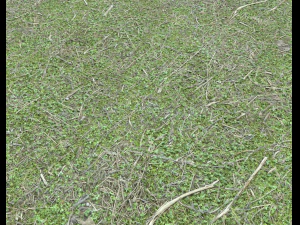 forest ground pack pbr 4 CG Textures