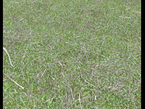 forest ground pack pbr 4 Texturas CG