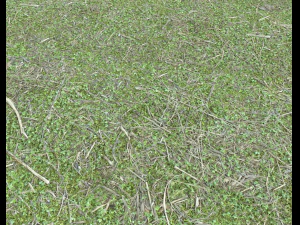 forest ground pack pbr 4 CG Textures