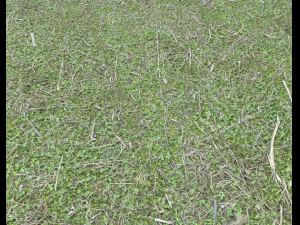forest ground pack pbr 4 Texturas CG