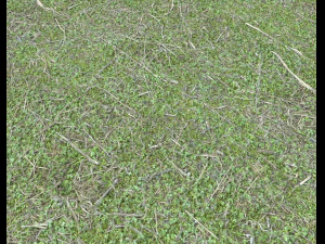 forest ground pack pbr 4 CG Textures