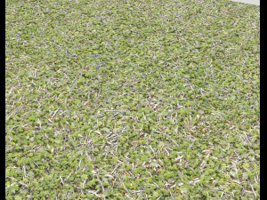 forest ground pack pbr 4 Texturas CG
