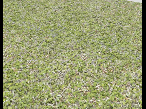 forest ground pack pbr 4 CG Textures