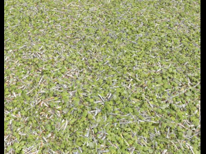 forest ground pack pbr 4 CG Textures