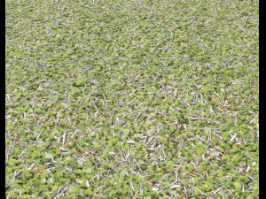 forest ground pack pbr 4 Texturas CG
