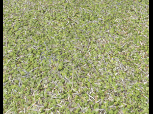 forest ground pack pbr 4 Texturas CG