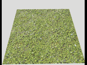 forest ground pack pbr 4 Texturas CG