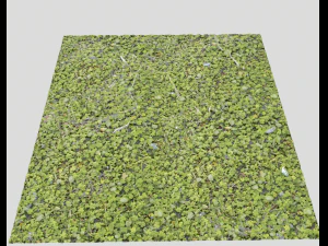 forest ground pack pbr 4 CG Textures