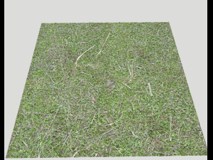 forest ground pack pbr 4 Texturas CG