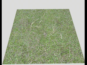 forest ground pack pbr 4 CG Textures