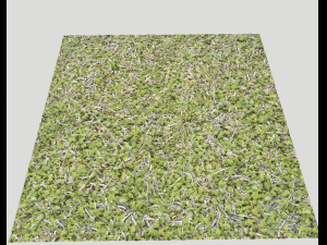 forest ground pack pbr 4 Texturas CG