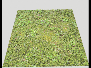 forest ground pack pbr 4 Texturas CG