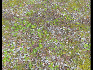 forest ground pbr pack 5 Texturas CG