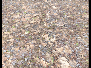 forest ground pbr pack 5 Texturas CG
