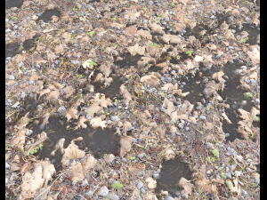 forest ground pbr pack 5 Texturas CG