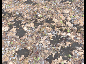forest ground pbr pack 5 Texturas CG