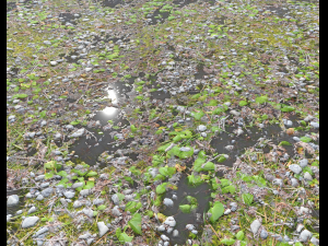 forest ground pbr pack 5 Texturas CG