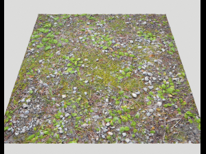 forest ground pbr pack 5 Texturas CG