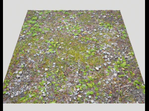 forest ground pbr pack 5 CG Textures
