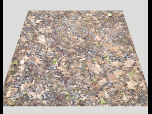 forest ground pbr pack 5 Texturas CG