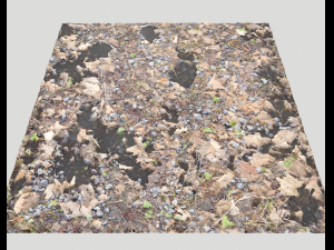 forest ground pbr pack 5 Texturas CG