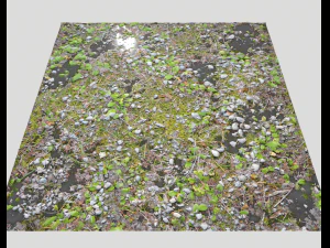 forest ground pbr pack 5 CG Textures