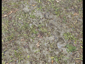 forest ground pbr pack 7 CG Текстуры