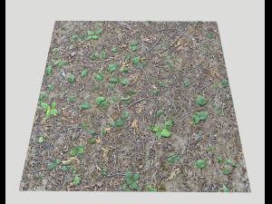 forest ground pbr pack 7 CG Текстуры