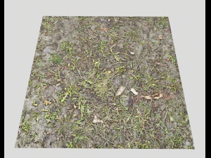 forest ground pbr pack 7 CG Textures