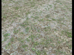 forest ground pbr pack 7 CG Текстуры