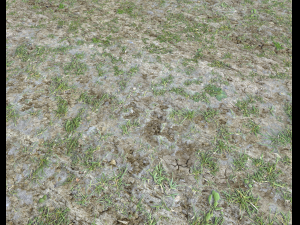 forest ground pbr pack 7 CG Текстуры