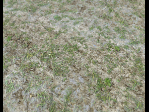 forest ground pbr pack 7 CG Текстуры