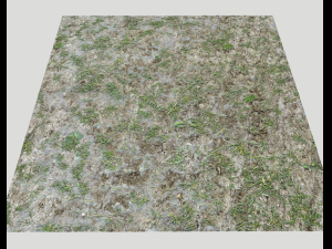 forest ground pbr pack 7 CG Текстуры