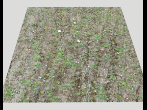 forest ground pbr pack 7 CG Текстуры