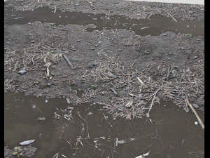 forest ground pbr pack 6 CG 텍스쳐