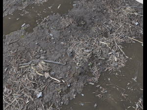forest ground pbr pack 6 CG 텍스쳐